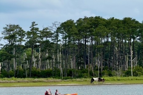 a small boat in a body of water