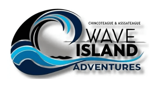 Wave Island adventures LOGO logo, company name