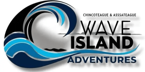Wave Island adventures 