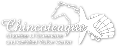 Chincoteague logo with horse, starfish, and shell.